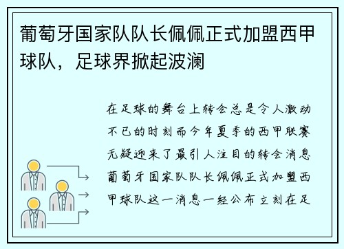 葡萄牙国家队队长佩佩正式加盟西甲球队，足球界掀起波澜